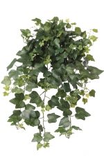 Hedera gala 65cm, UV-bestendig